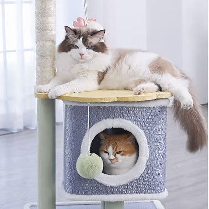 Arbre à Chats Pastel avec Jouet Suspendu et Niche Ronde