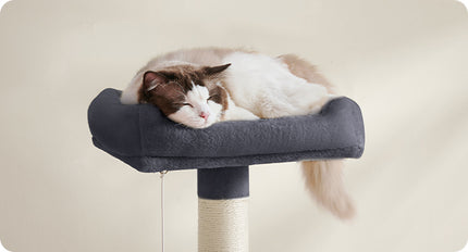 Arbre à Chat Gris avec Hamac et Niche Double