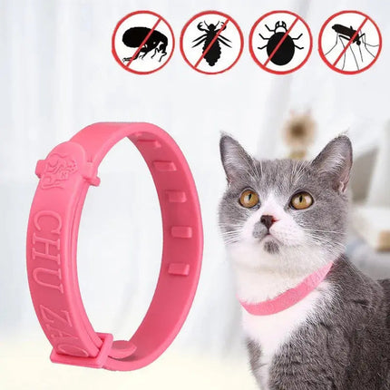 Collier anti-parasites pour chat - Design ajustable et coloré