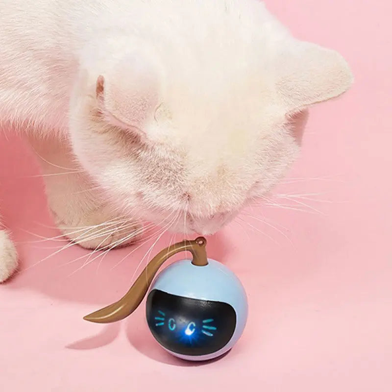 Balle Interactive Ludique pour Chat avec Effets Lumineux