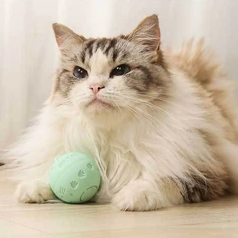 Balle Interactive pour Chat â Jeu Amusant et Stimulant
