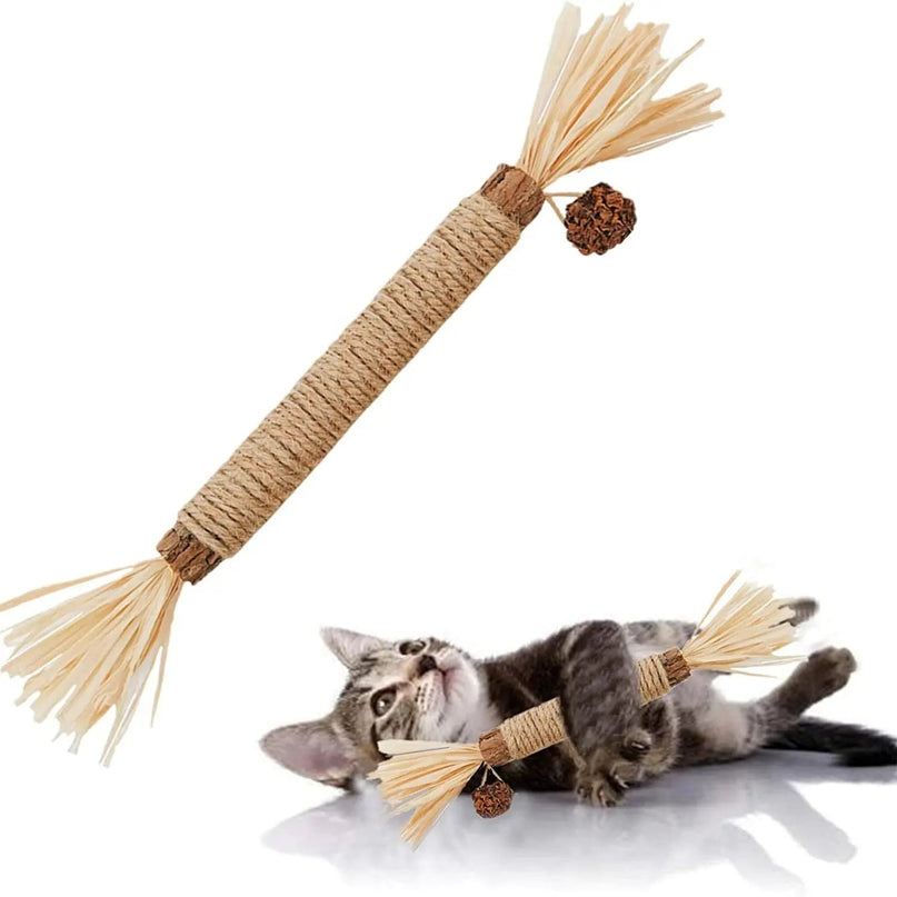 Jouet Naturel Ludique pour Chat avec Franges et Accessoire