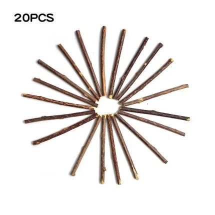 Moment drôle et spontané : Chat découvrant une brindille ludique