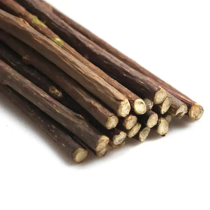 Moment drôle et spontané : Chat découvrant une brindille ludique