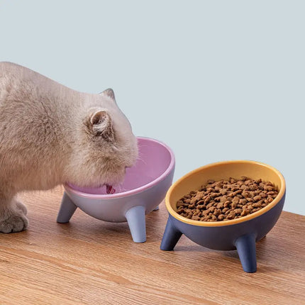 Gamelle surélevée moderne pour chat - Bleu et Jaune