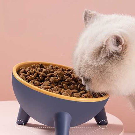 Gamelle surélevée moderne pour chat - Bleu et Jaune