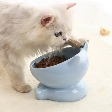Bol Incliné pour Chat - Interaction Naturelle et Facile