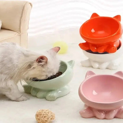 Bol Incliné pour Chat - Interaction Naturelle et Facile