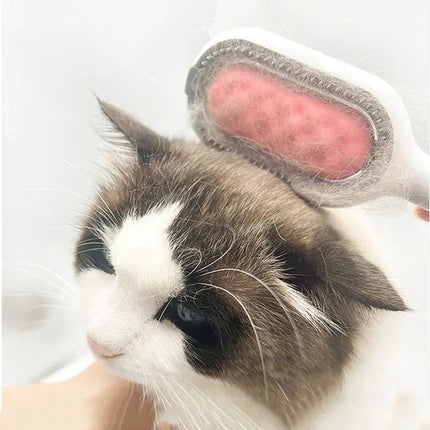 Brosse Pratique pour Toilettage de Chat - Design Ergonomique et Tête Amovible