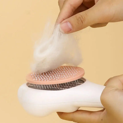 Brosse Patte Ludique pour Toilettage Félin