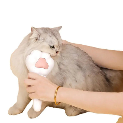 Brosse Patte Ludique pour Toilettage Félin