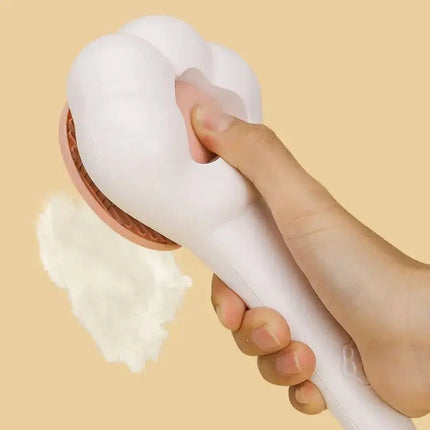 Brosse Patte Ludique pour Toilettage Félin