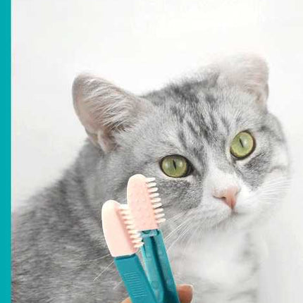 Pince utilitaire bleue turquoise avec embouts texturés pour manipulation précise