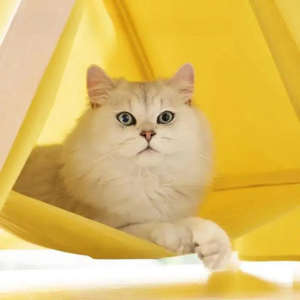Tente Douillette Jaune pour Chat