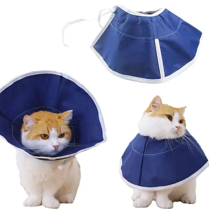 Colerette de Protection Bleu pour Chat – Confort et Sécurité Post-Opératoire