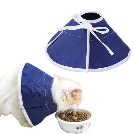 Colerette de Protection Bleu pour Chat – Confort et Sécurité Post-Opératoire