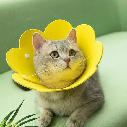 Collerette Fleur pour Chat - Design Ludique et Coloré