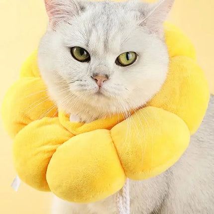 Collier Protecteur Fleur Jaune pour Chat