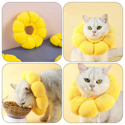 Collier Protecteur Fleur Jaune pour Chat