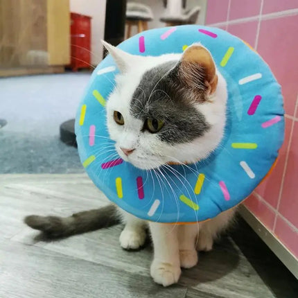Collerette Donut Colorée Pour Chat | Accessoire Amusant et Original