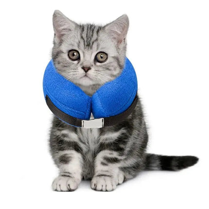 Collerette Matelassée Bleue pour Chat | Design Ludique et Soin Pratique