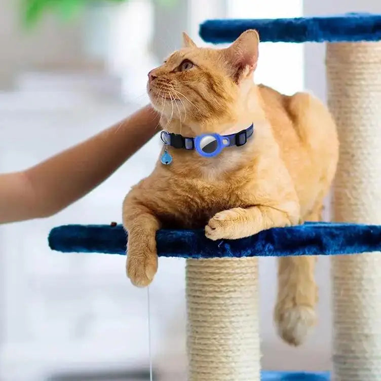 Collier Ajustable Noir avec Boucle et Médaillon Bleu pour Chat