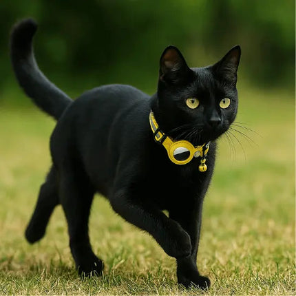 Accessoire pour Chat avec Éclat Rose et Clochette Intégrée