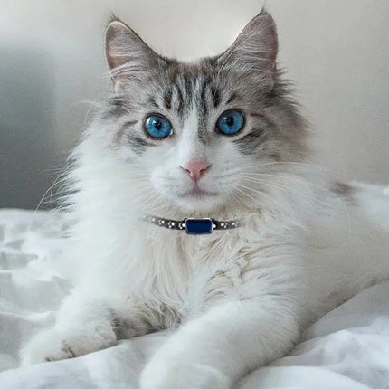 Collier Raffiné pour Chat avec Ornement Bleu
