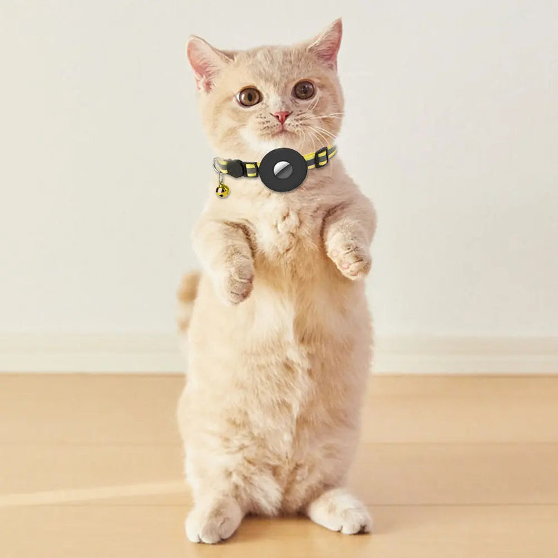 Collier Connecté pour Chat | Sécurité et Suivi GPS