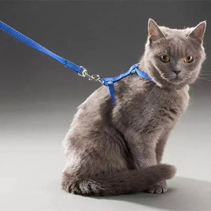 Harnais Ajustable Bleu avec Laisse pour Chat