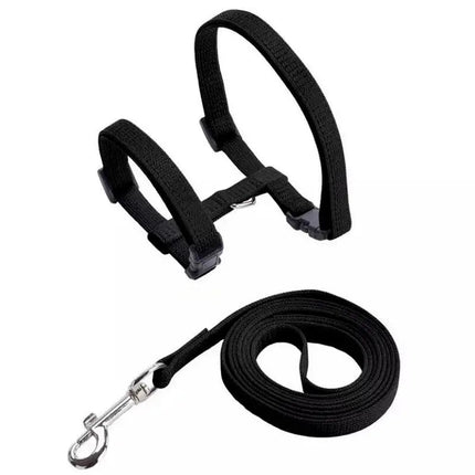 Harnais Ajustable Bleu avec Laisse pour Chat