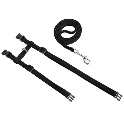 Harnais Ajustable Bleu avec Laisse pour Chat