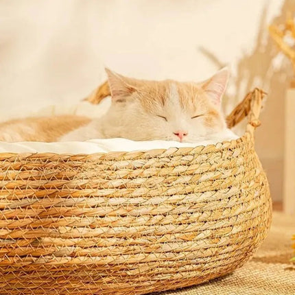 Panier Douillet Rond avec Coussin Moelleux – Décoration Naturelle et Confort pour Chat