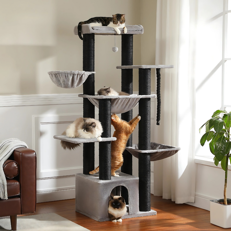 Arbre à Chats Multi-Plateformes avec Maison et Hamacs Suspendus
