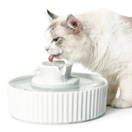 Fontaine pour Chat au Design Moderne avec Cascade Apaisante