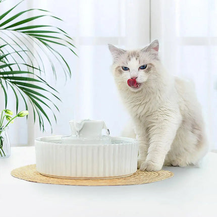 Fontaine pour Chat au Design Moderne avec Cascade Apaisante