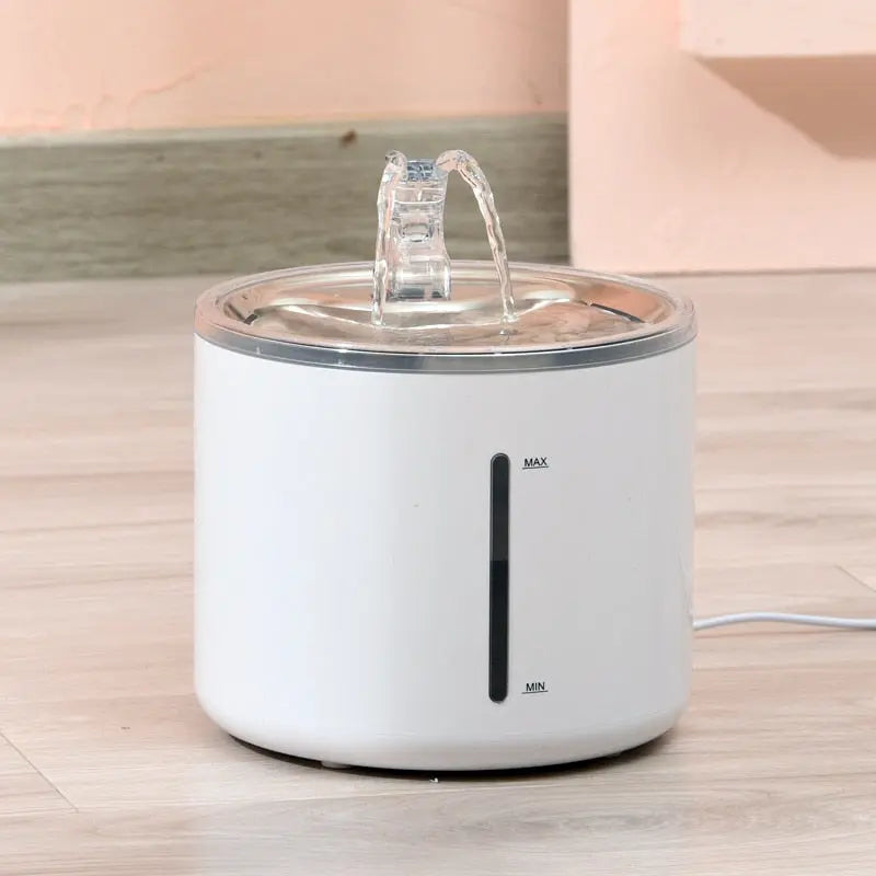 Fontaine Minimaliste pour Hydratation Animale | Cascade Continue