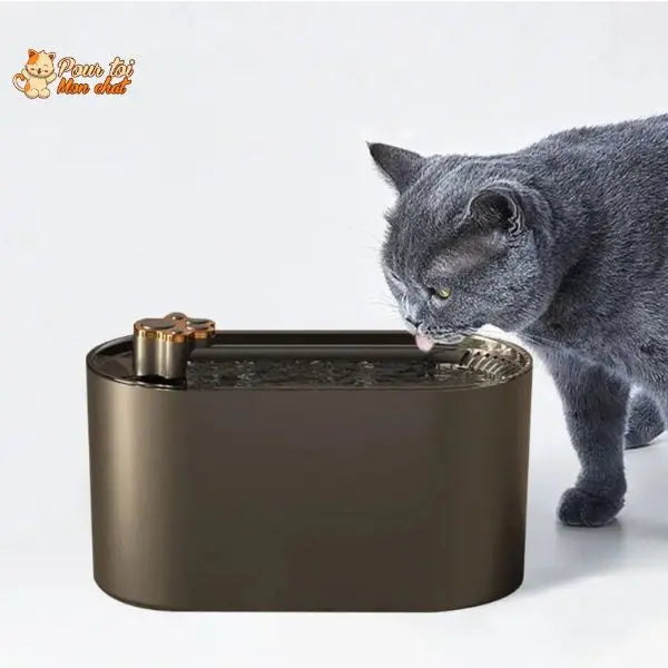 Fontaine moderne pour chat avec design épuré et détails cuivrés
