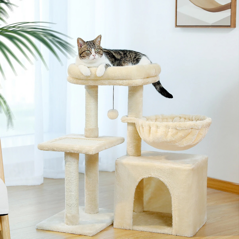 Aire de jeu multifonction pour chats avec hamac et grattoir