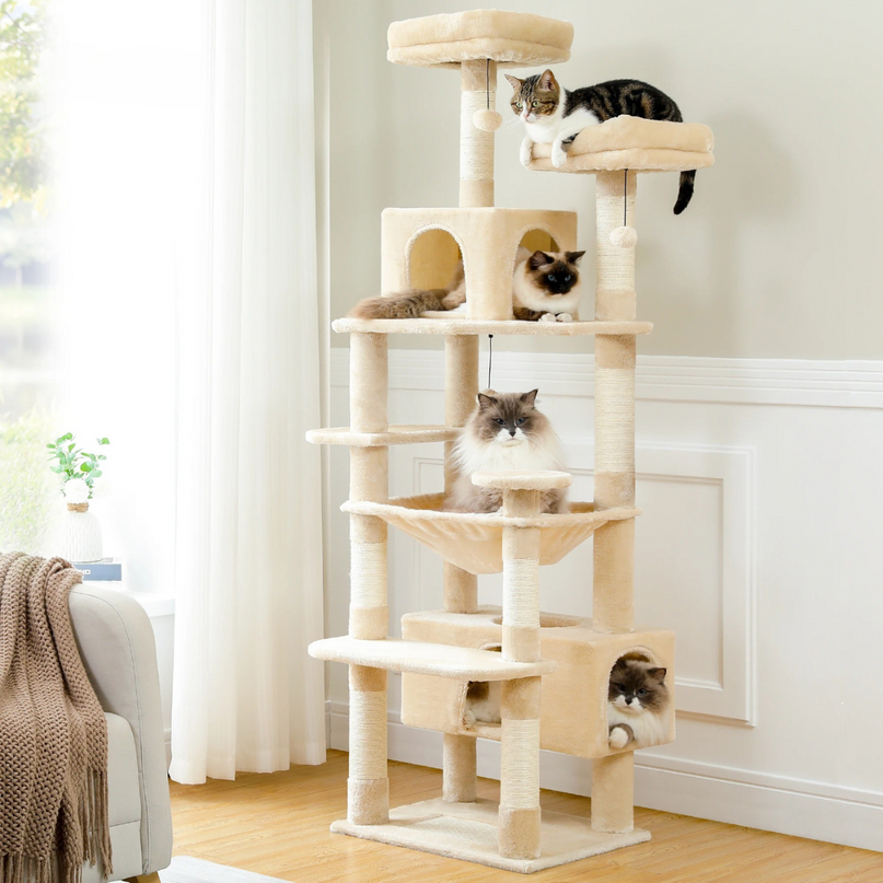 Arbre de Jeu Multifonction pour Chats avec Plateformes et Niches