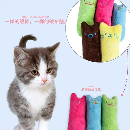 Jouet Délicatesse pour Chat – Peluches Mignonnes en Forme de Chaton