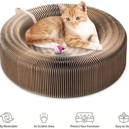 Cocon Reversible Douillet pour Chat – Surface à Griffer Intégrée