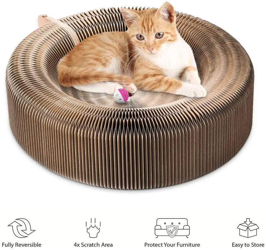 Cocon Reversible Douillet pour Chat â Surface Ă  Griffer IntĂ©grĂ©e