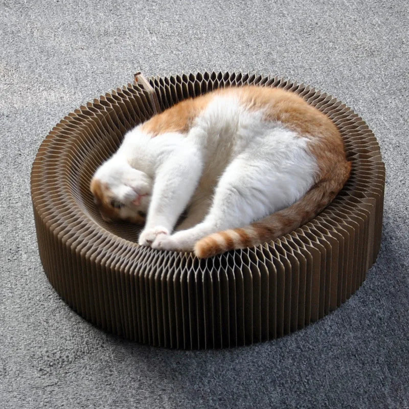 Cocon Reversible Douillet pour Chat â Surface Ă  Griffer IntĂ©grĂ©e
