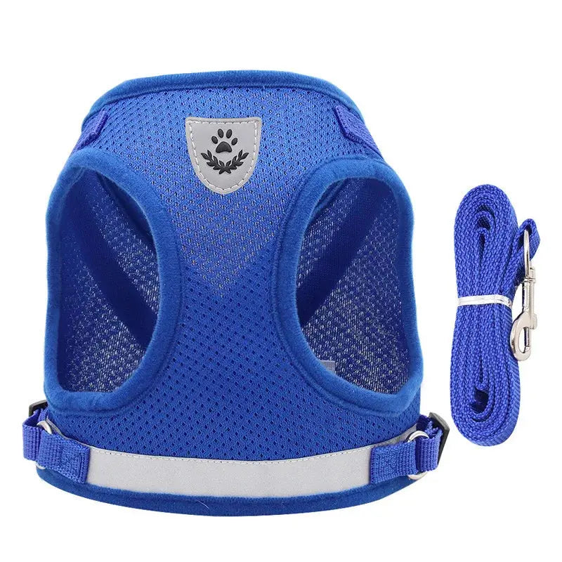 Harnais Bleu Vif pour Chat avec Laisse Assortie