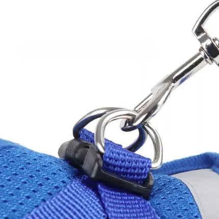 Harnais Bleu Vif pour Chat avec Laisse Assortie