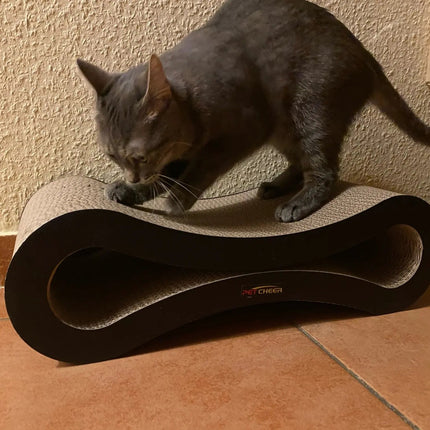 Griffoir Moderne en Boucle pour Chat – Design Minimaliste