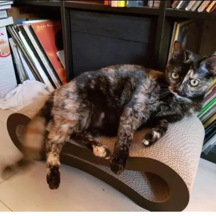 Griffoir Moderne en Boucle pour Chat – Design Minimaliste