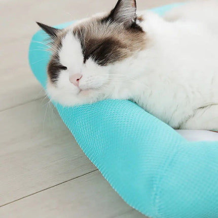 Coussin Douillet Bleu pour Siestes de Chat
