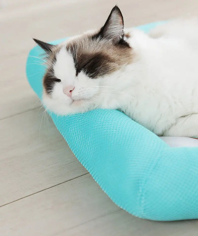 Coussin Douillet Bleu pour Siestes de Chat